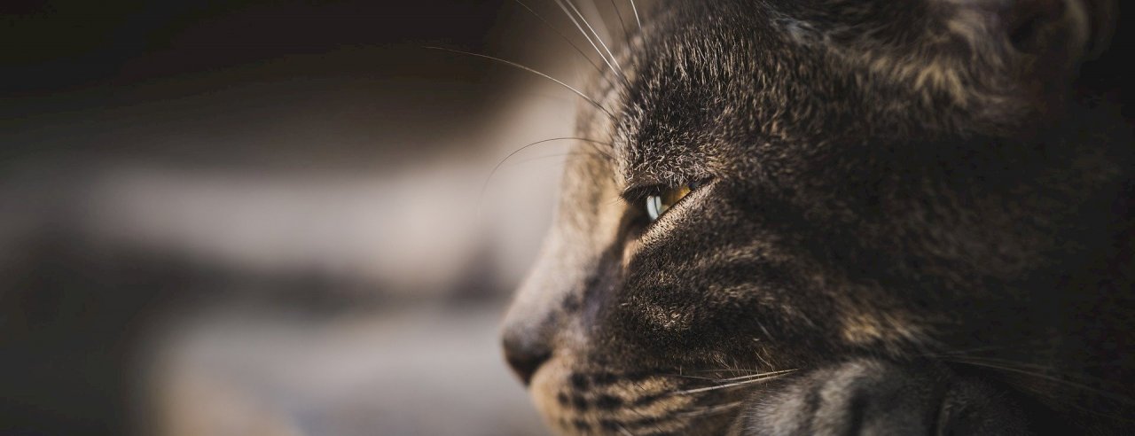 Test pour modification