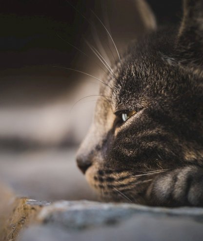 Test pour modification