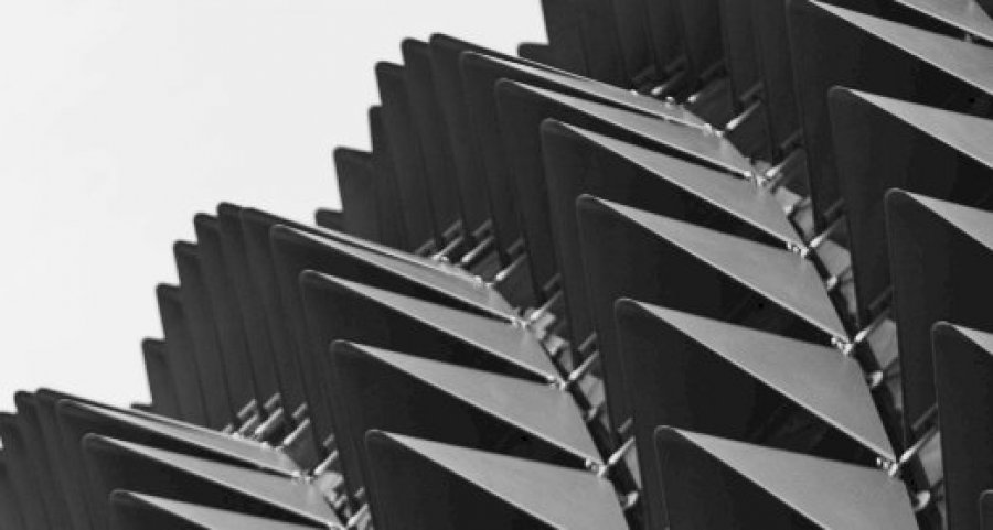 Proin eget tortor risus donec